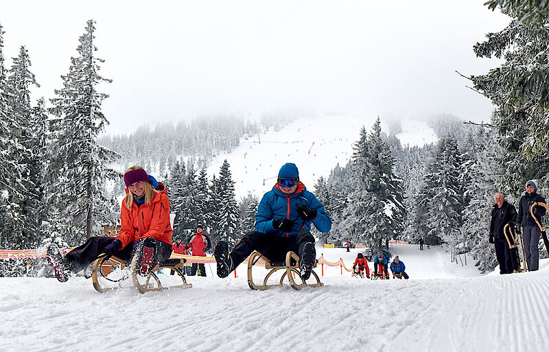 Rodeln im Bayerischen Wald